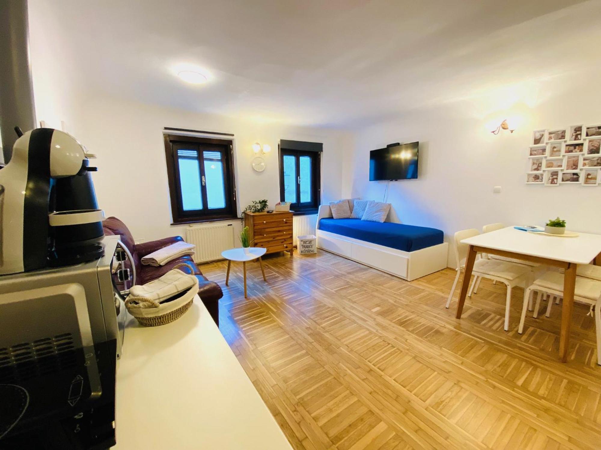 Apartment Under The Castle *