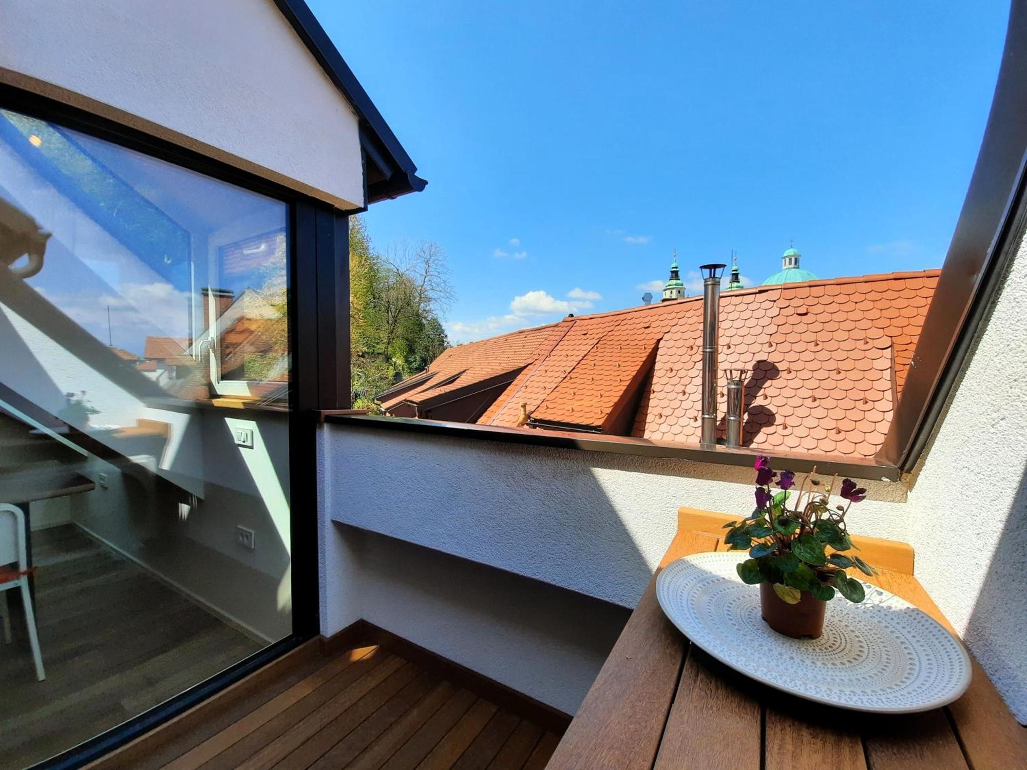 Apartment Under The Castle Laibach